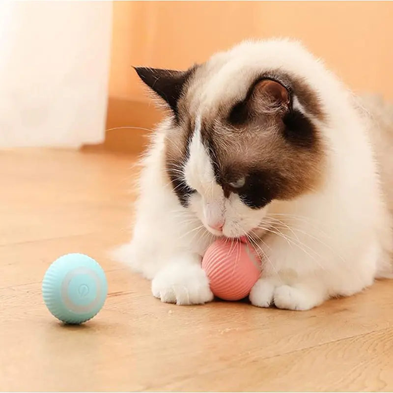 Smart Puppy Cat Ball Toys